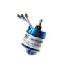 E-Flite BL10 Motor, 800Kv -Model Toys Store EFLM17552 A0 U6O2LVW5